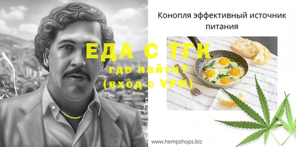 индика Корсаков