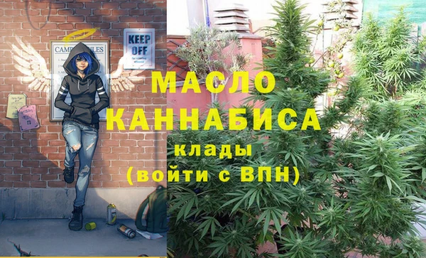 индика Корсаков
