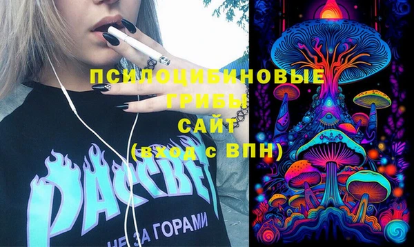 дживик Белокуриха