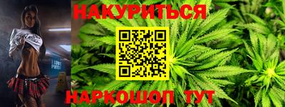 крисы Брянск