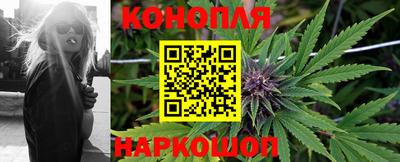 индика Боровичи