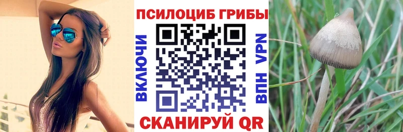 Галлюциногенные грибы прущие грибы  сколько стоит  Вязьма 