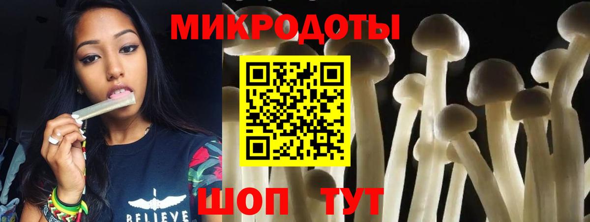 Псилоцибиновые грибы Cubensis Вязьма